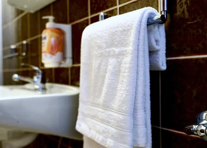 فندق Berliner Hof