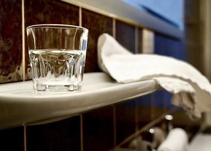 فندق Berliner Hof