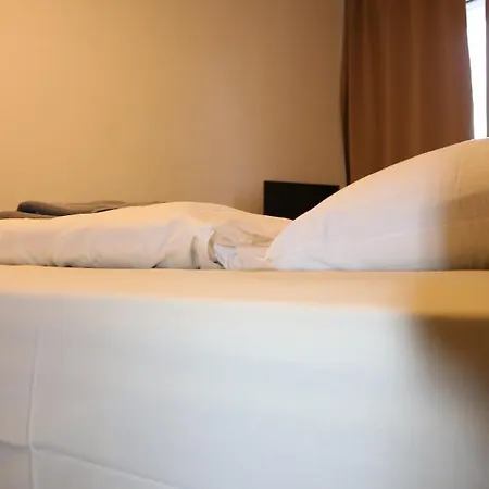 Hotel Berliner Hof 3*