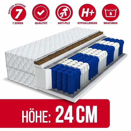 Berliner Hof מלון