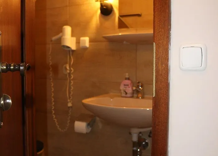 Berliner Hof מלון 3*